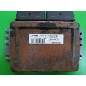 Defecte Ecu Renault Megane 1.4 8200061273 S110030318C SIRIUS 32