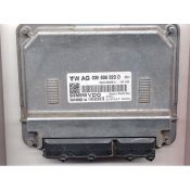 Defecte Ecu Skoda Fabia 1.2 03E906023D SIMOS 9.1