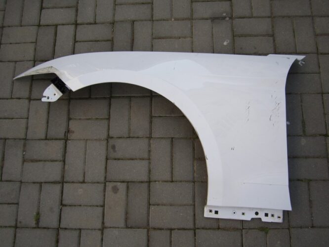 OTHERS: Ford Mustang 2015-2017 front left wing-0