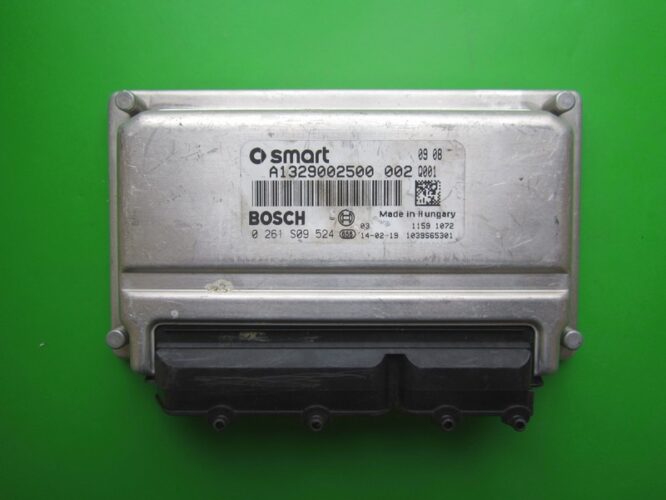 ECU Engine Control Unit Smart Fortwo 1.0 A1329002500 0261S09524 ME7.7.0-0