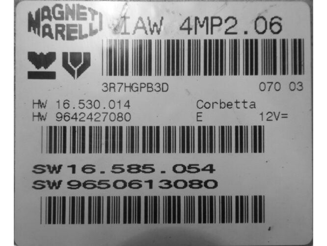 ECU Engine Control Unit Peugeot 307 2.0 9650613080 IAW 4MP2.06-0